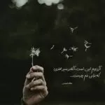 دانلود آهنگ بمبه بمبه ببین بدنش چه رو فرمه